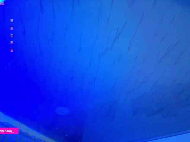 Nicorobin webcam