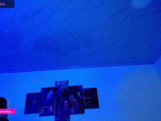 Nicorobin webcam