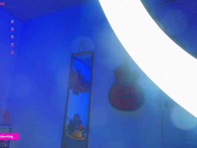Nicorobin webcam