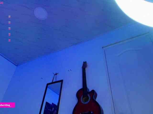 Nicorobin webcam