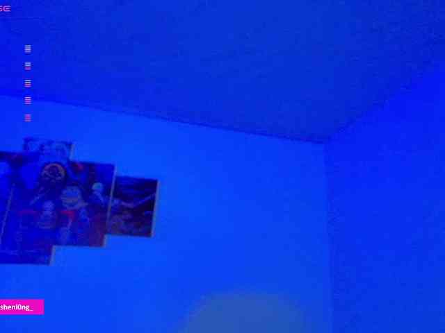 Nicorobin webcam