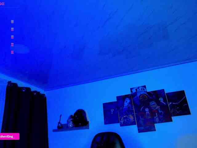 Nicorobin webcam