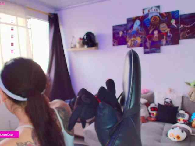 Nicorobin webcam
