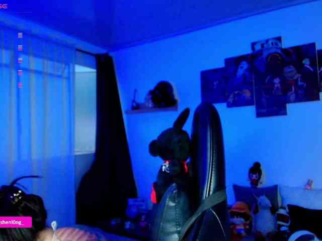 Nicorobin webcam