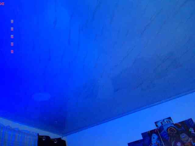 Nicorobin webcam