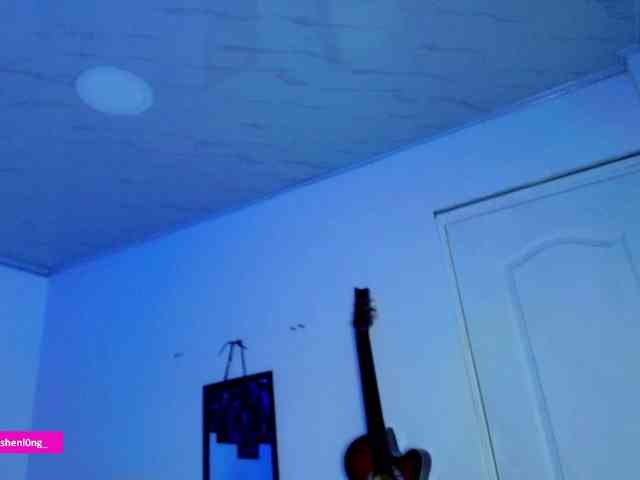 Nicorobin webcam