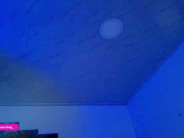 Nicorobin webcam