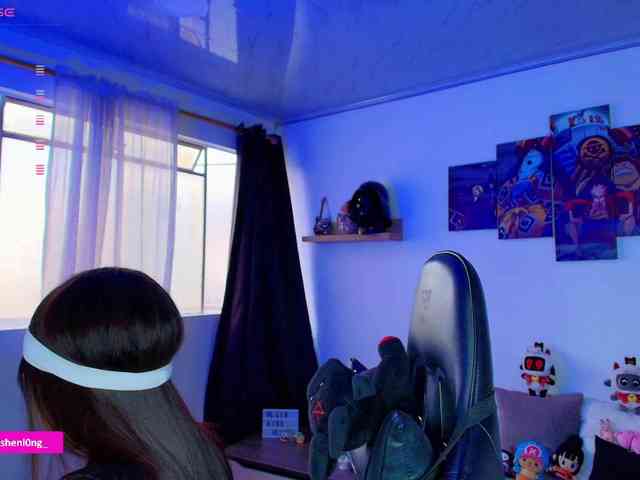 Nicorobin webcam