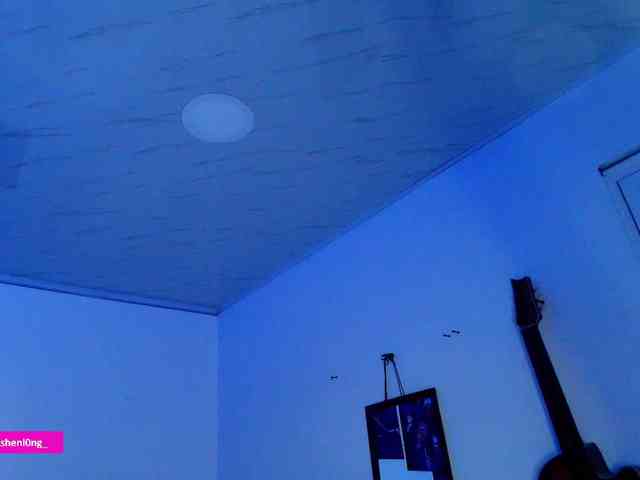 Nicorobin webcam