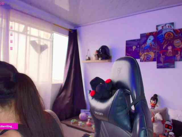Nicorobin webcam