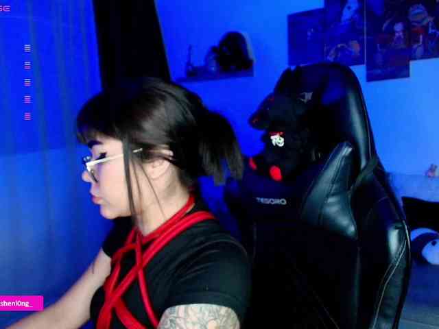 Nicorobin webcam