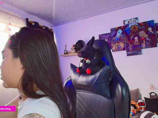 Nicorobin webcam