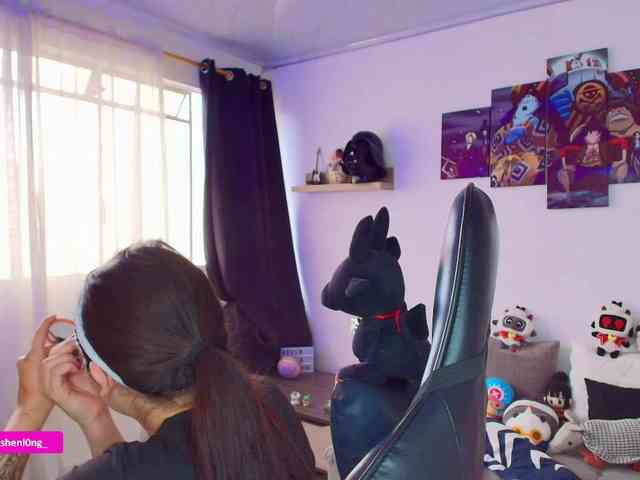 Nicorobin webcam