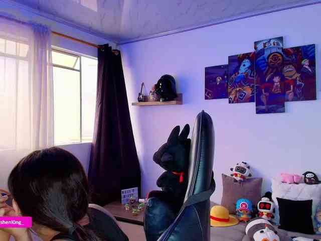 Nicorobin webcam