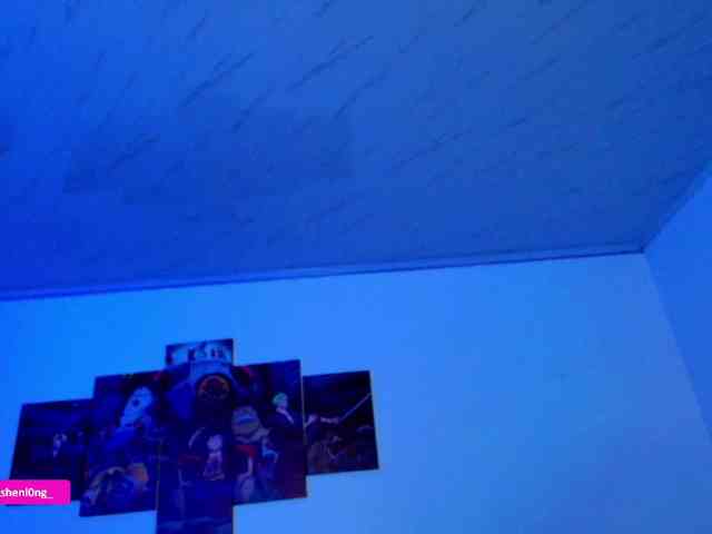 Nicorobin webcam