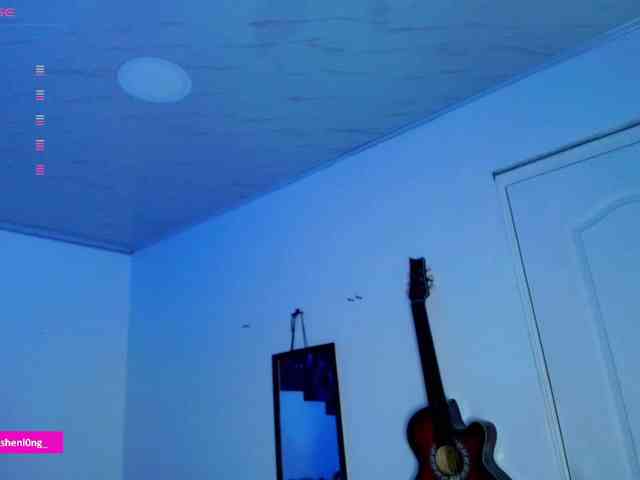 Nicorobin webcam