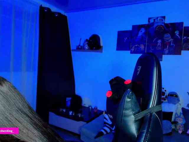 Nicorobin webcam