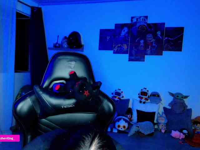 Nicorobin webcam