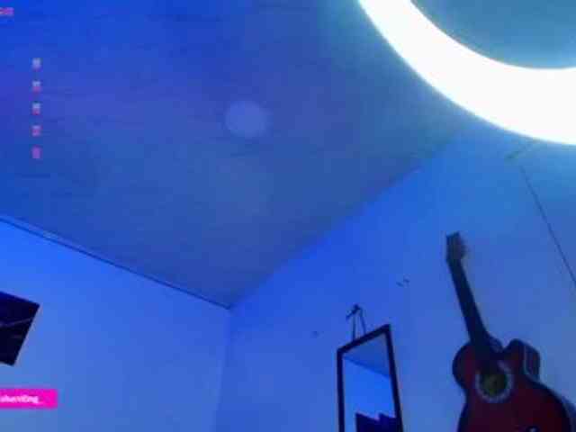 Nicorobin webcam