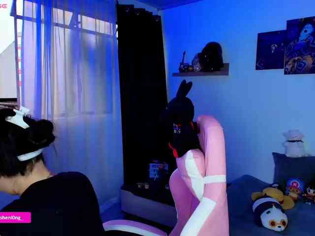 Nicorobin webcam