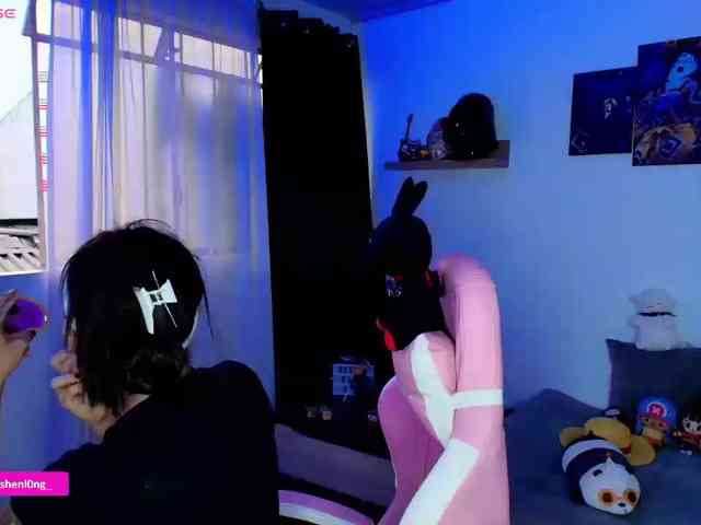 Nicorobin webcam