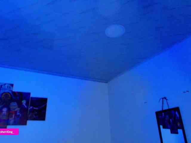 Nicorobin webcam