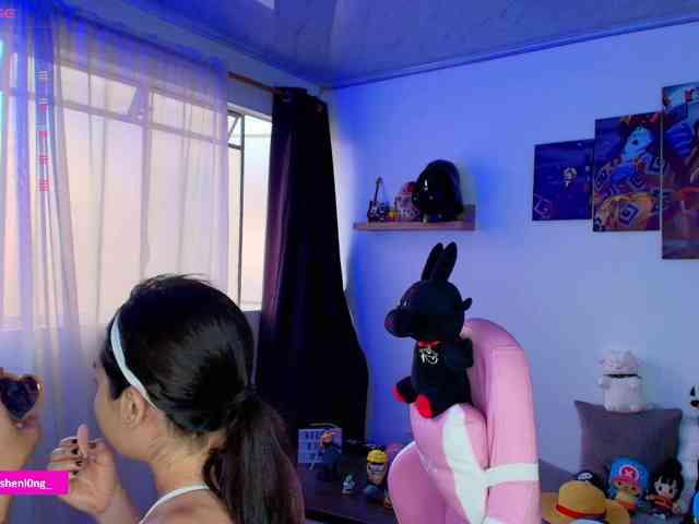 Nicorobin webcam