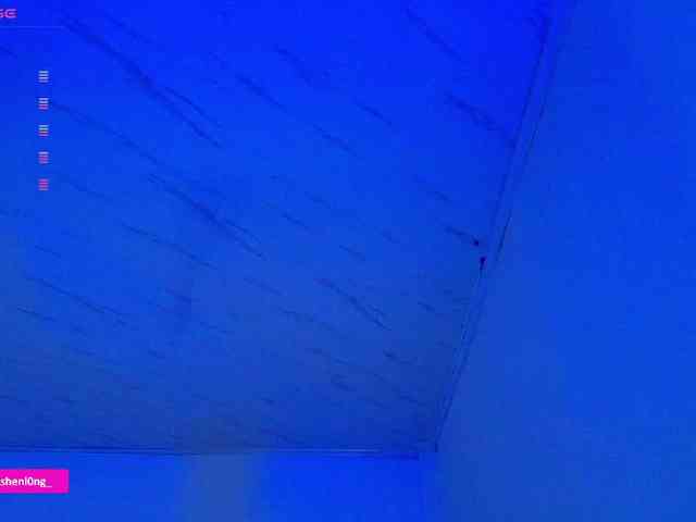 Nicorobin webcam