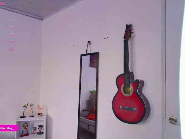 Nicorobin webcam