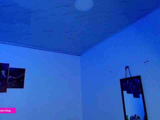 Nicorobin webcam