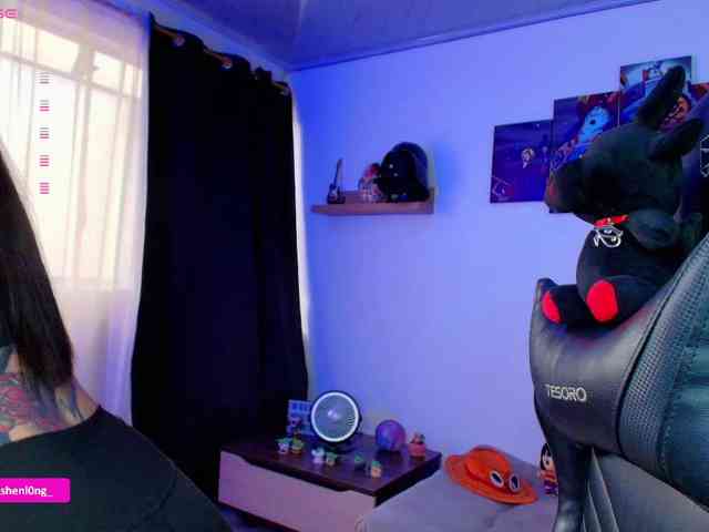 Nicorobin webcam