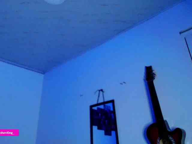 Nicorobin webcam