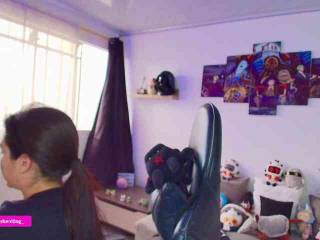 Nicorobin webcam