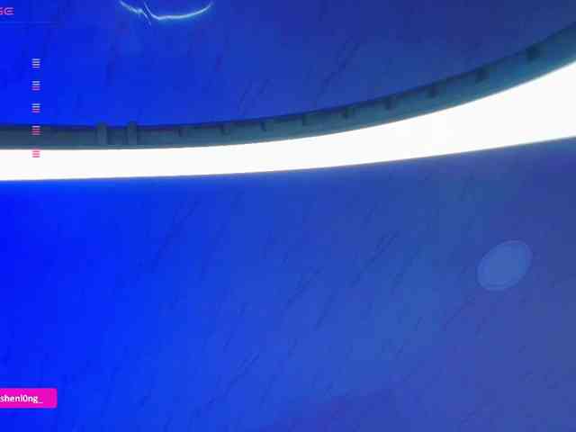 Nicorobin webcam