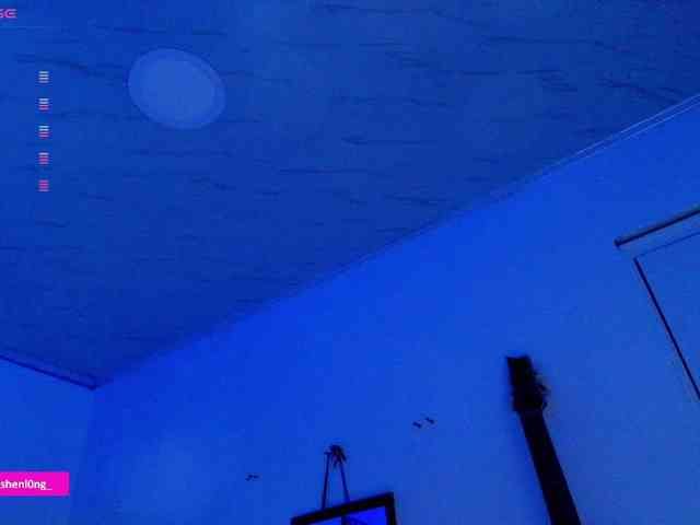 Nicorobin webcam