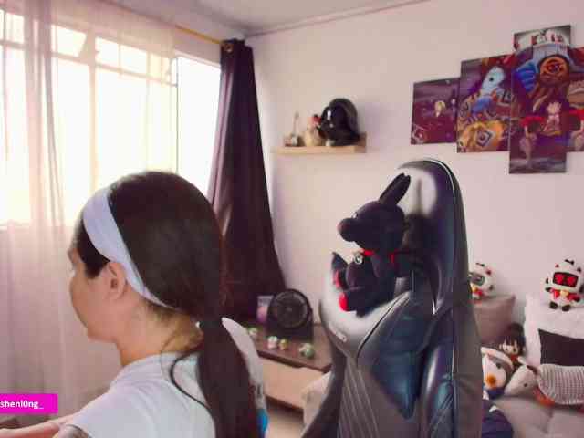 Nicorobin webcam