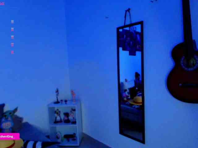 Nicorobin webcam