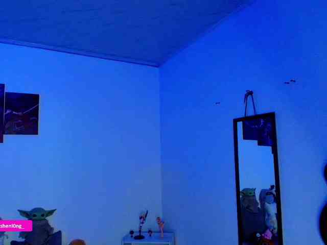 Nicorobin webcam
