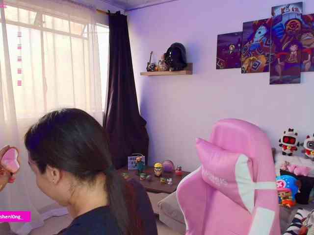 Nicorobin webcam