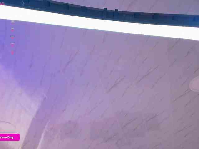 Nicorobin webcam