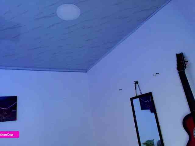 Nicorobin webcam