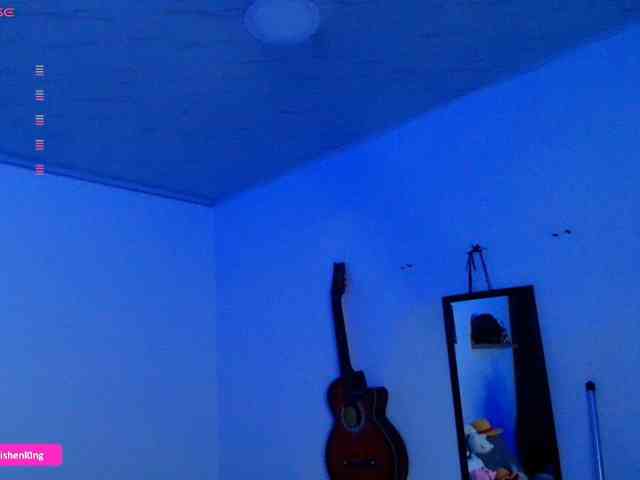 Nicorobin webcam