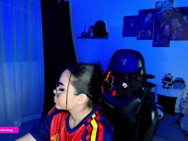 Nicorobin webcam