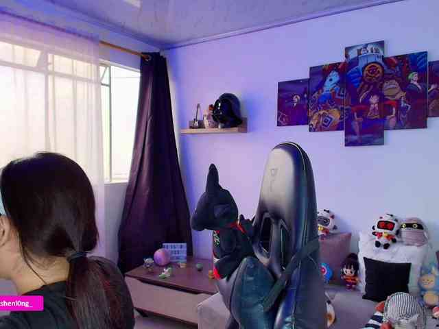 Nicorobin webcam