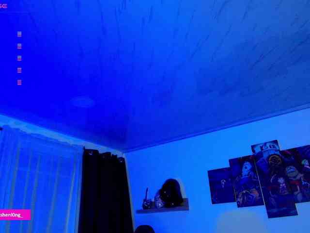 Nicorobin webcam