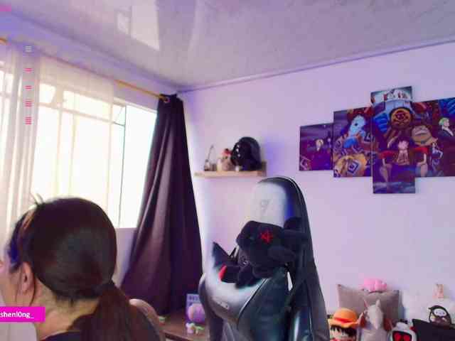 Nicorobin webcam