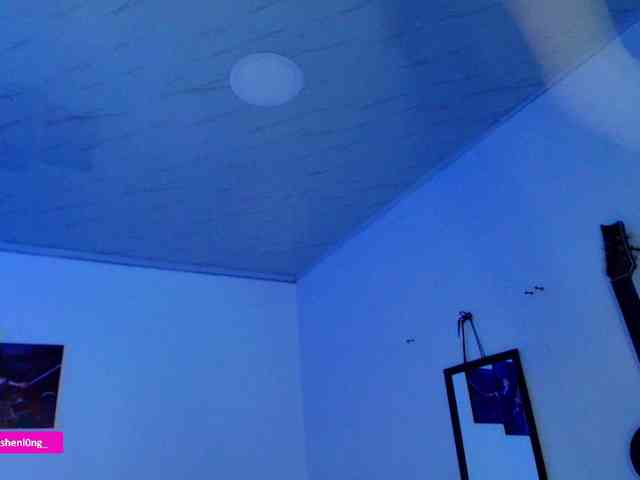 Nicorobin webcam