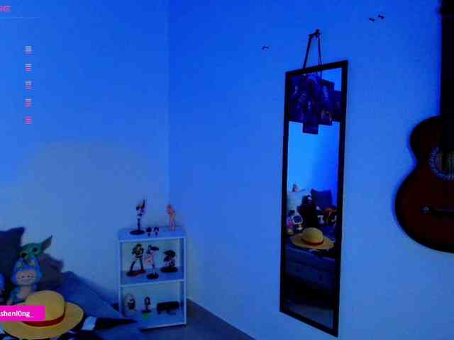 Nicorobin webcam