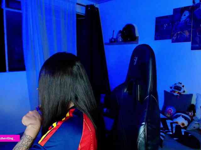 Nicorobin webcam