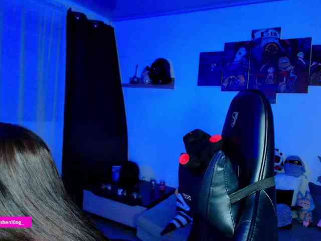 Nicorobin webcam